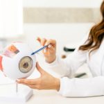 The Health Connection You Didn’t See Coming: Why Eye Care and Overall Health Go Hand in Hand